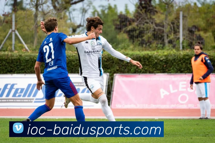 百度体育服务体系